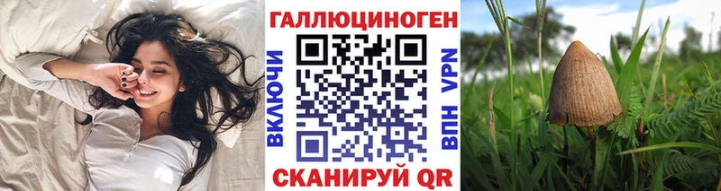 Псилоцибиновые грибы Cubensis Апатиты